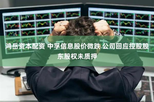 鸿岳资本配资 中孚信息股价微跌 公司回应控股股东股权未质押